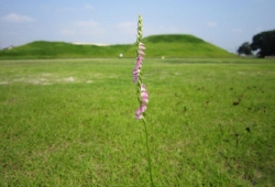 20100708.jpg